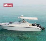 cruiser for rent 4