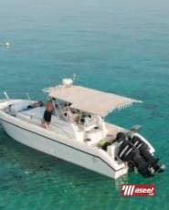 cruiser for rent 6