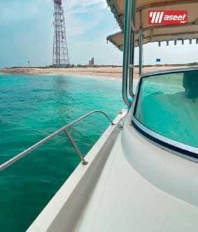 cruiser for rent 7