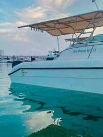 cruiser for rent 0