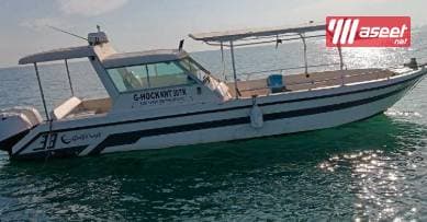 Special cruises 4