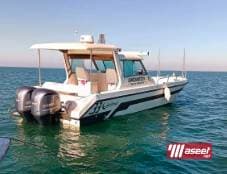 Special cruises