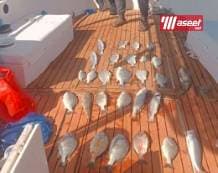 Special cruises 11