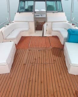 Special cruises