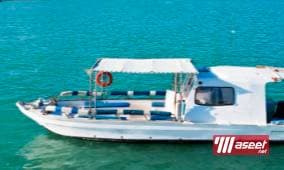 Abu Hassan cruises 2