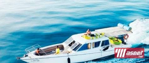 Book your cruise  4