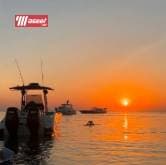 Book your cruise  7