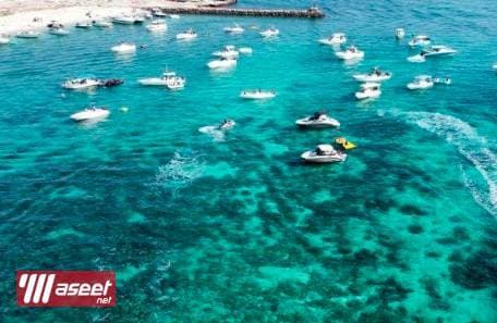 Book your cruise 
