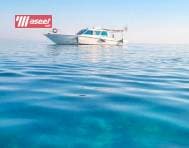 Book your cruise  10