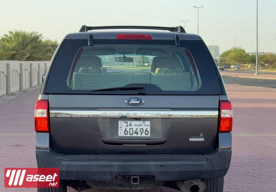 Ford Expedition 2015  6