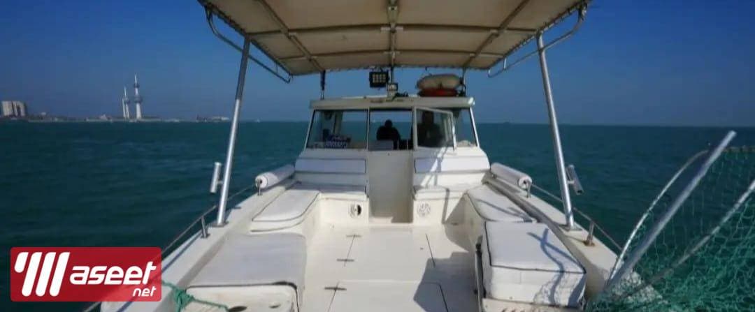 Cruises to rent a cruiser 6