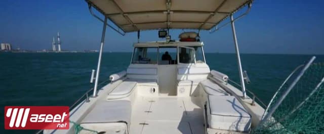 Cruises to rent a cruiser