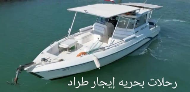 Cruises to rent a cruiser