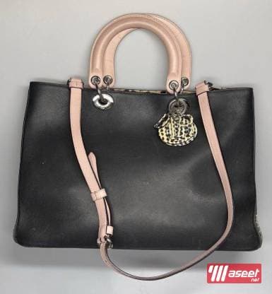 Original Dior bag 1