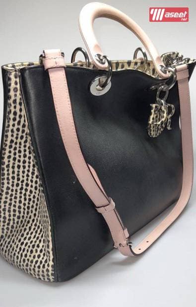 Original Dior bag 2