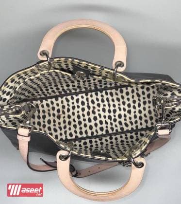 Original Dior bag 3