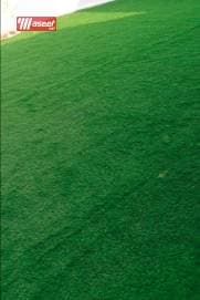 Garden installation and maintenance services