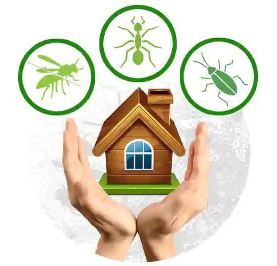 pest control 2