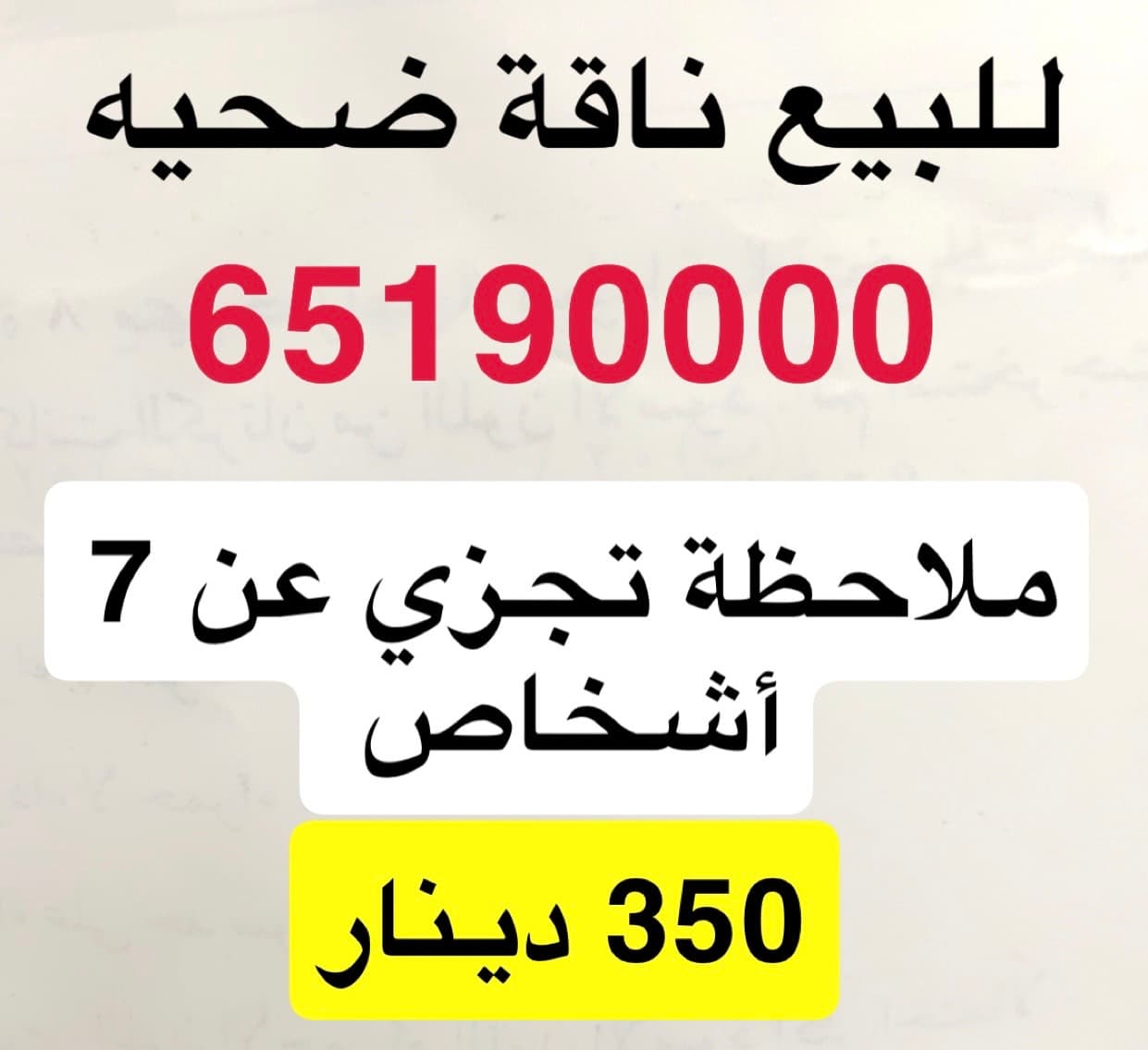 للبيع ناقة 0