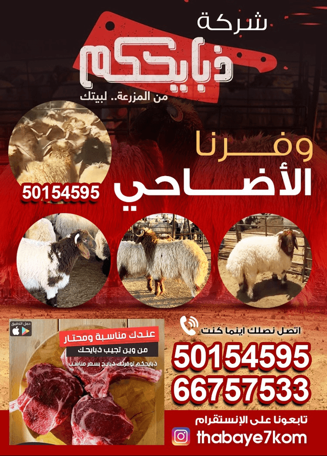 ذبائحكم وفرنا لكم العربي باسعار مناسبة