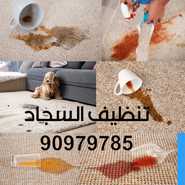 Claudia Cleaning Company