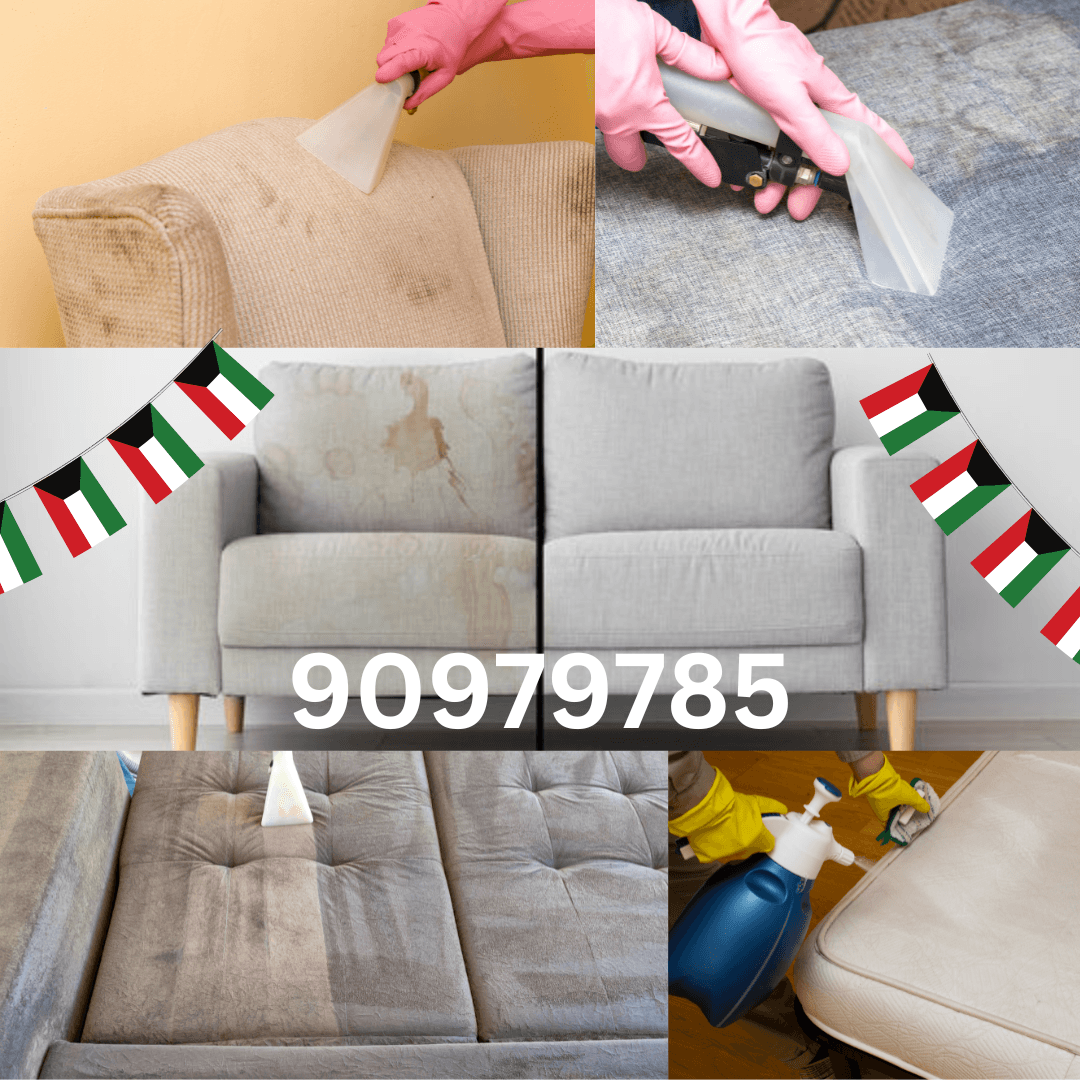 Claudia Cleaning Company 3