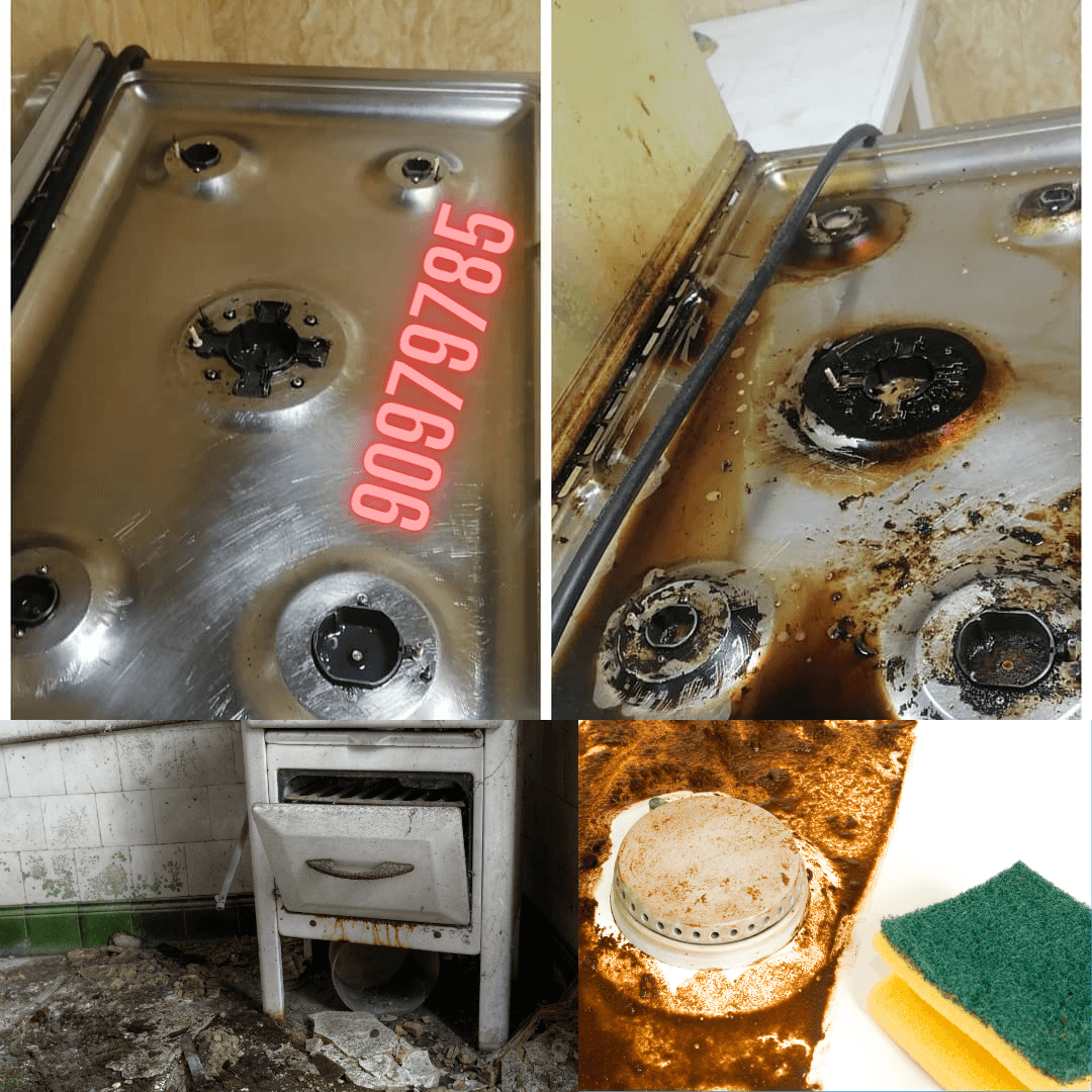 Claudia Cleaning Company 4