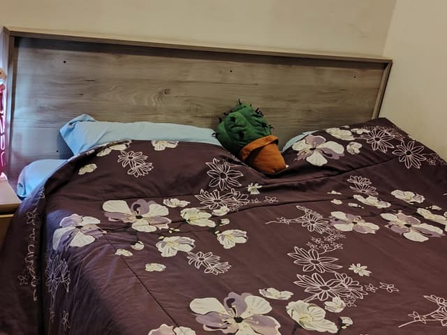 For sale bed, wardrobe