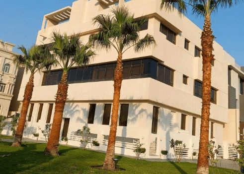 Ahwazi specializes in buying and selling palm trees 3