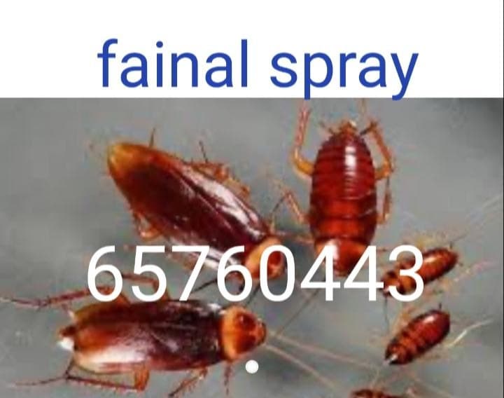 Pest control company 0