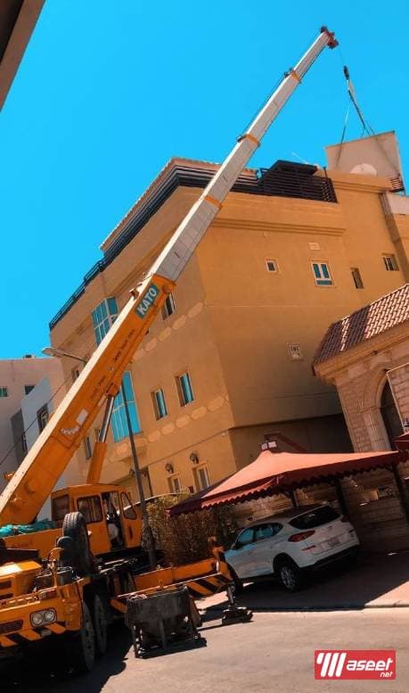 Kuwait cranes 1