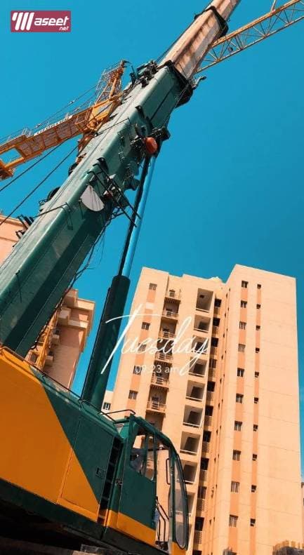 Kuwait cranes 2