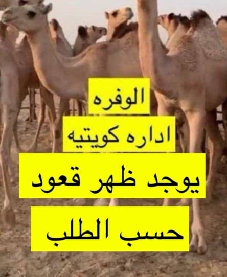 For sale Qaadan 