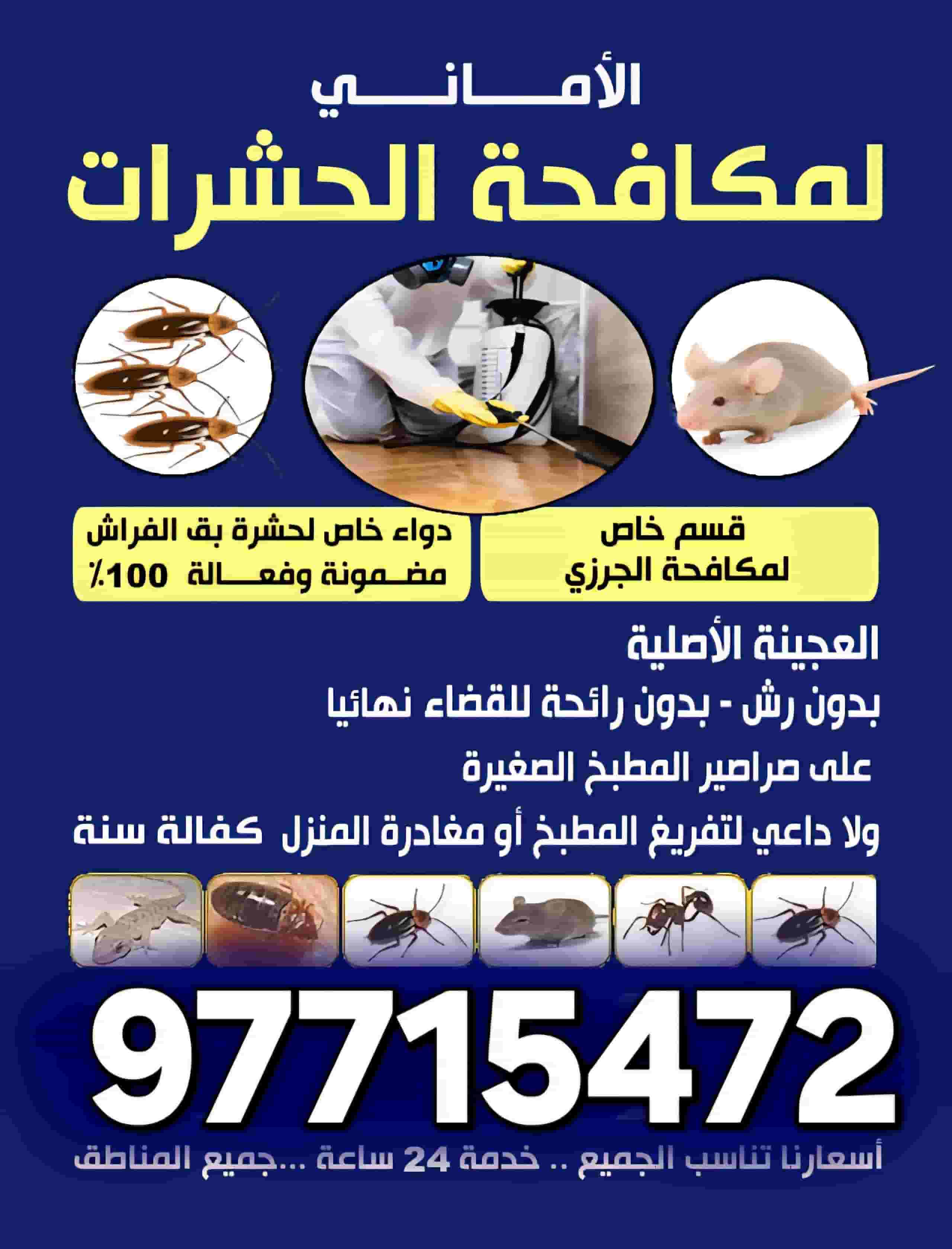 مكافحة حشرات بالكويت مكافحة حشرات بالكويت