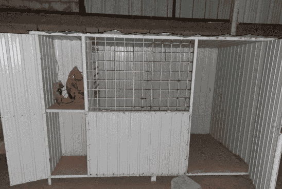 dog cage for sale dog cage for sale