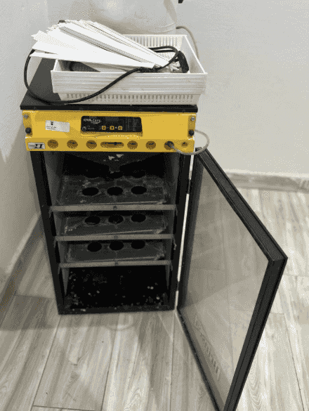 Nayef's hatcheries Nayef's hatcheries