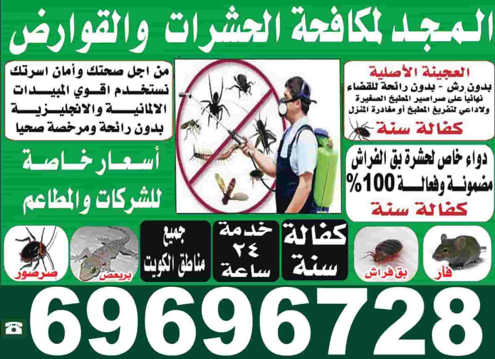 مكافحه حشرات وقوارض كفاله سنه مكافحه حشرات وقوارض كفاله سنه