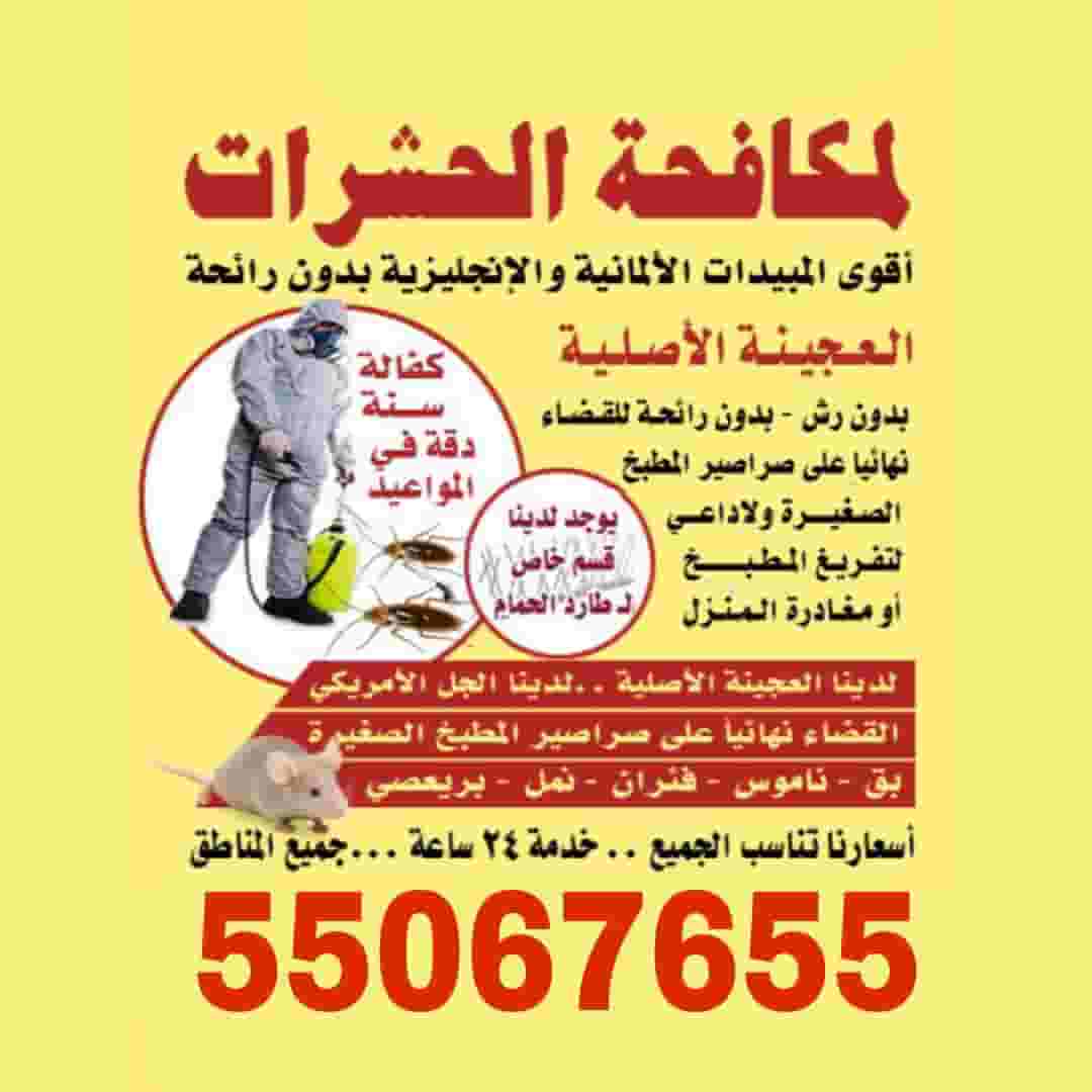 مكافحه حشرات وقوارض مكافحه حشرات وقوارض