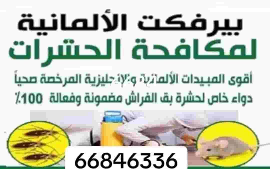 بيرفكت الالمانيه لمكافحة الحشرات والقوارض بيرفكت الالمانيه لمكافحة الحشرات والقوارض