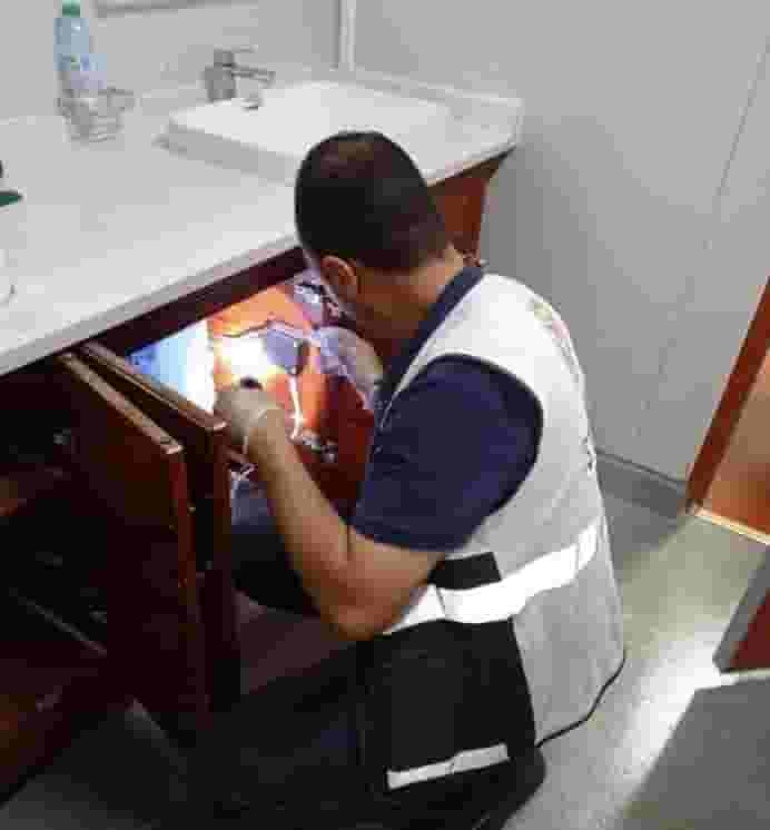 مكافحة حشرات  اتصل بنا مكافحة حشرات  اتصل بنا