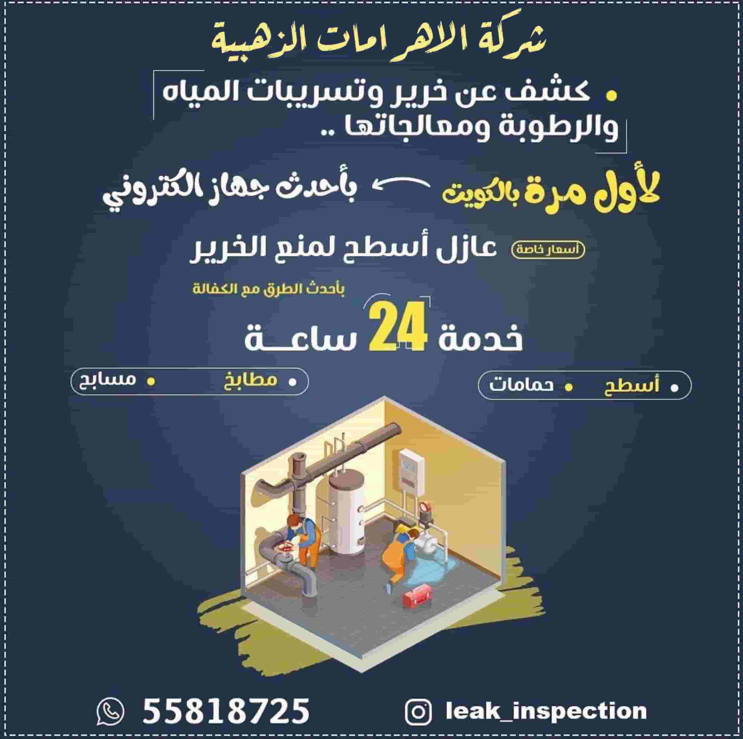 Detecting water leaks and purr and treating moisture Detecting water leaks and purr and treating moisture