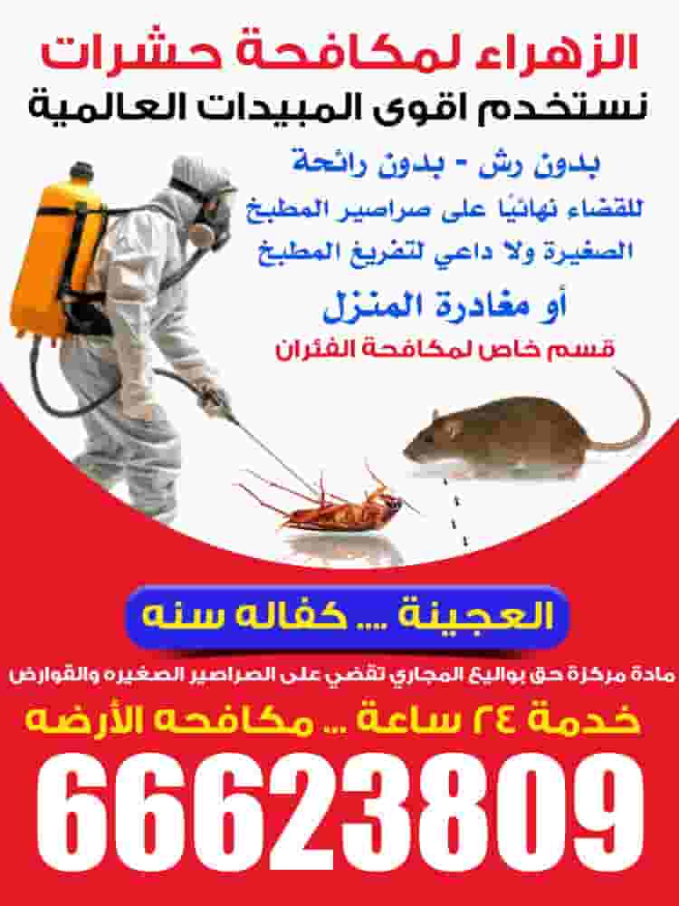 الزهراء لمكافحة حشرات   الزهراء لمكافحة حشرات