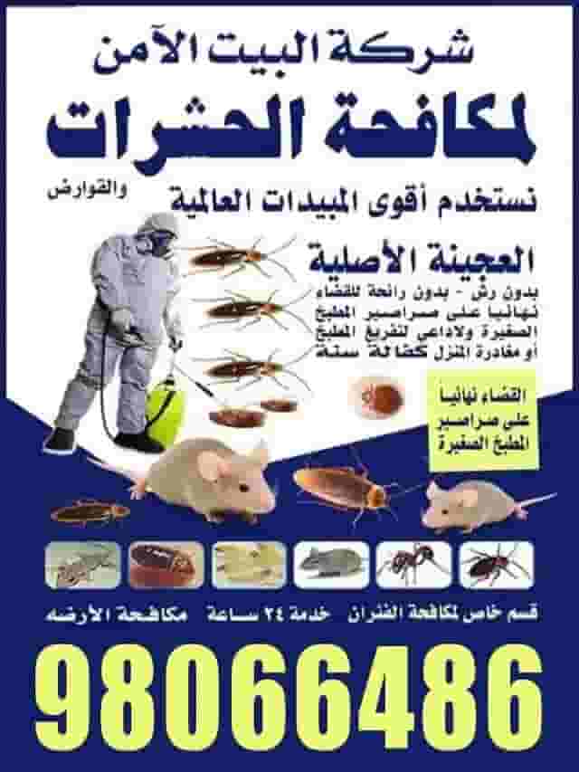 شركة البيت الآمن لمكافحة الحشرات والقوارض شركة البيت الآمن لمكافحة الحشرات والقوارض