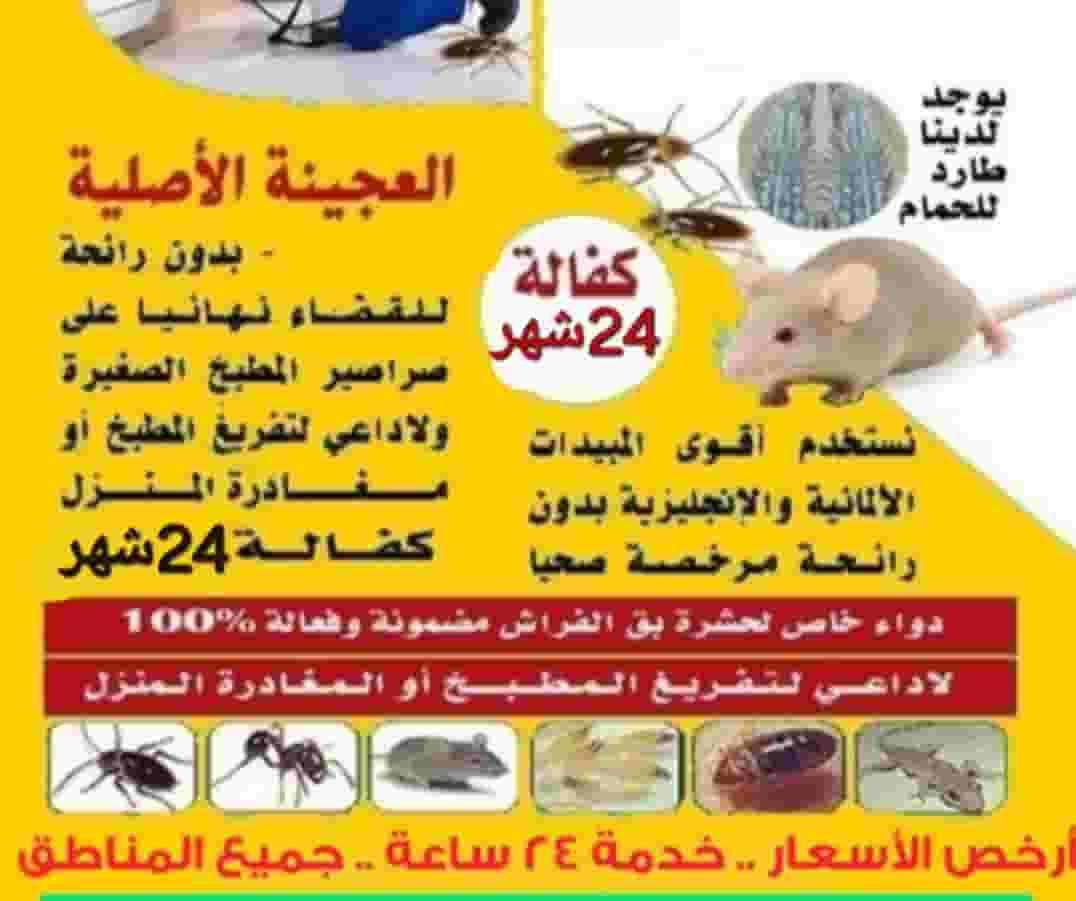 Kuwait pest control Kuwait pest control