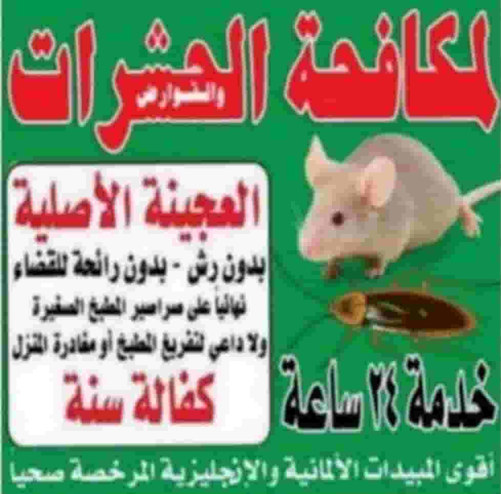 Pest control, one year warranty Pest control, one year warranty