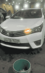 A woman is ready to deliver university students and employees A woman is ready to deliver university students and employees